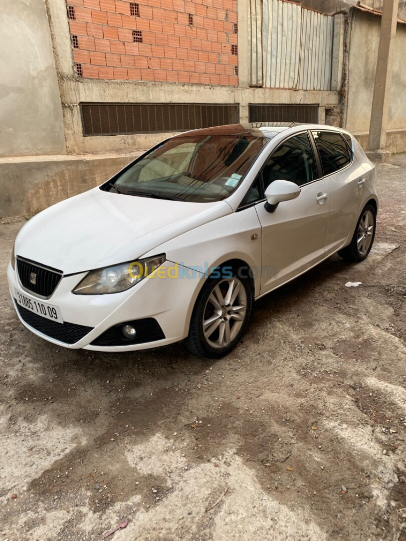 Seat Ibiza 2010 Loca