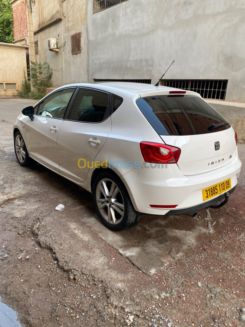 Seat Ibiza 2010 Loca