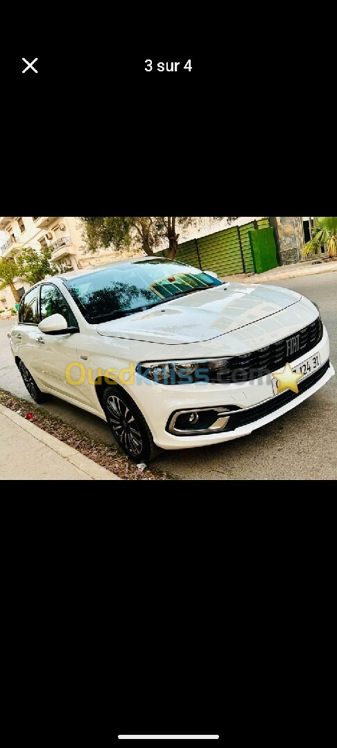 Fiat Tipo 2024 Laife