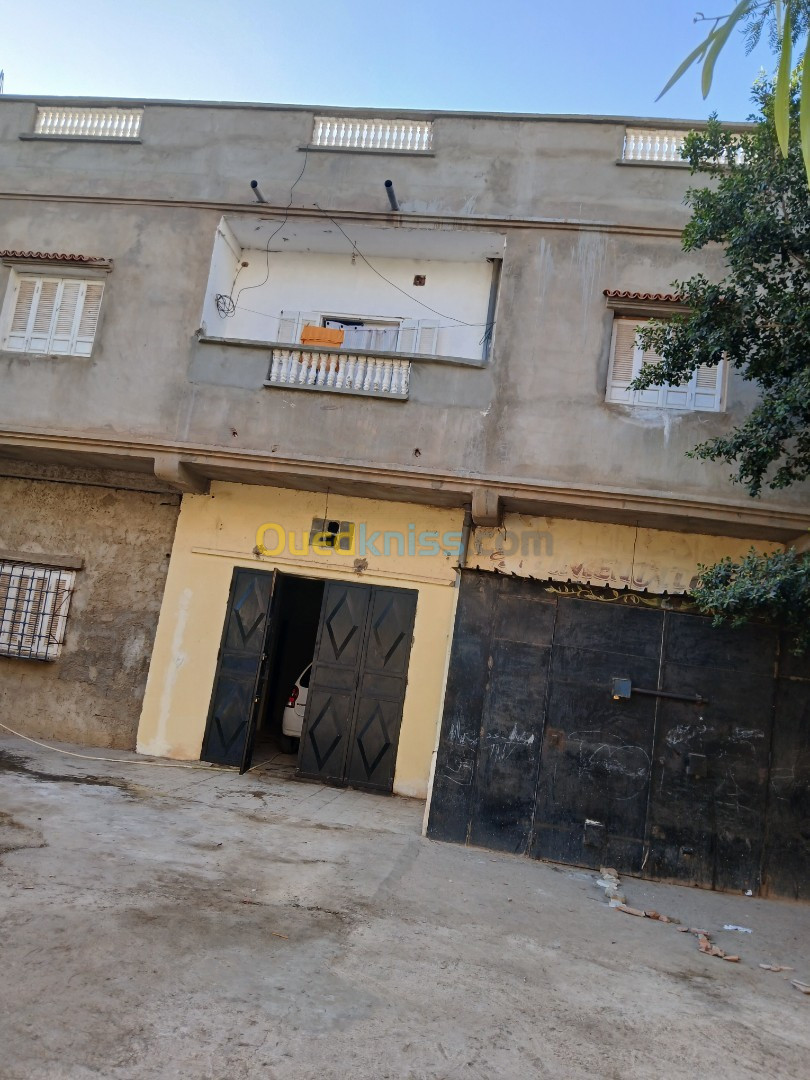 Vente Villa Oran Hassi mefsoukh