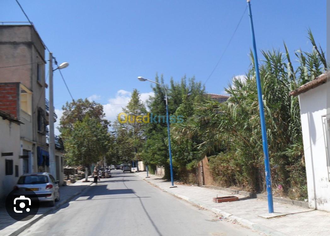 Vente Appartement F1 Jijel Chekfa