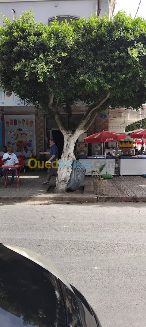 Vente Local Aïn Témouchent Ain temouchent