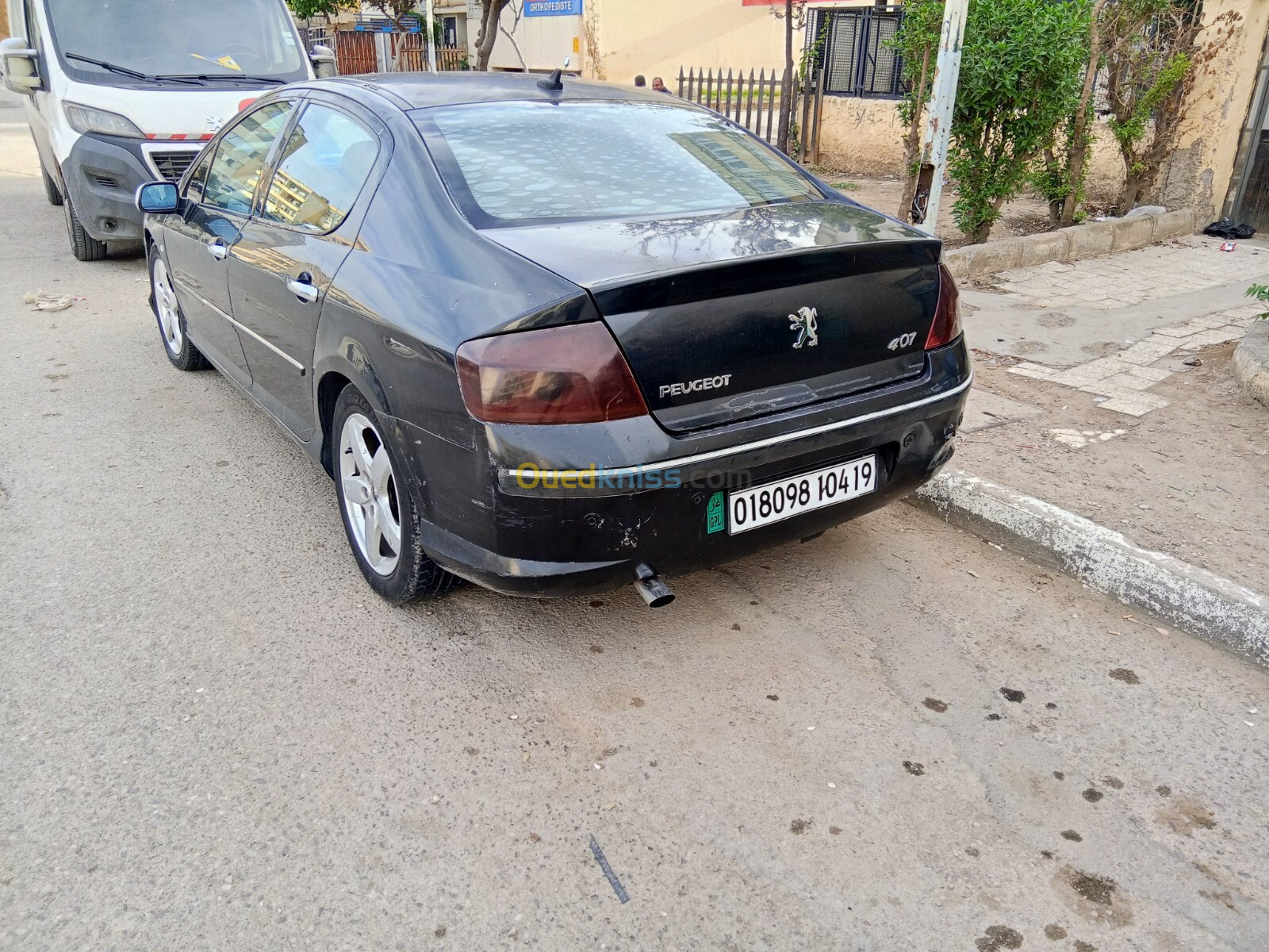 Peugeot 407 2004 407