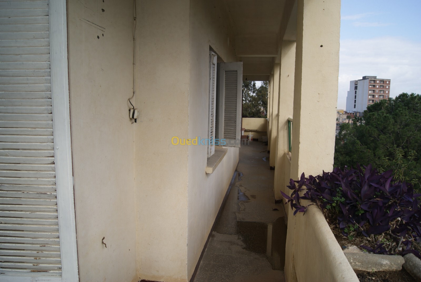 Vente Appartement F04 Blida Ouled yaich