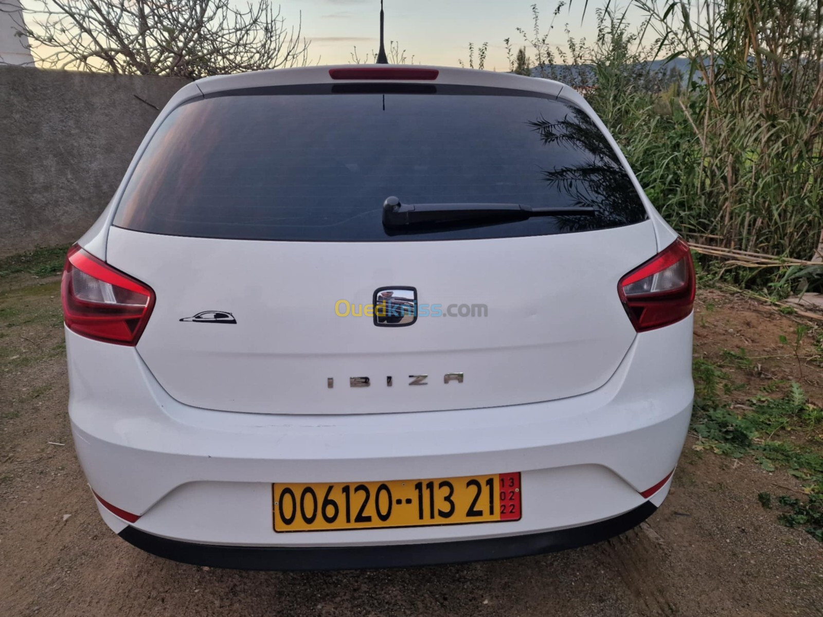 Seat Ibiza 2013 Fully