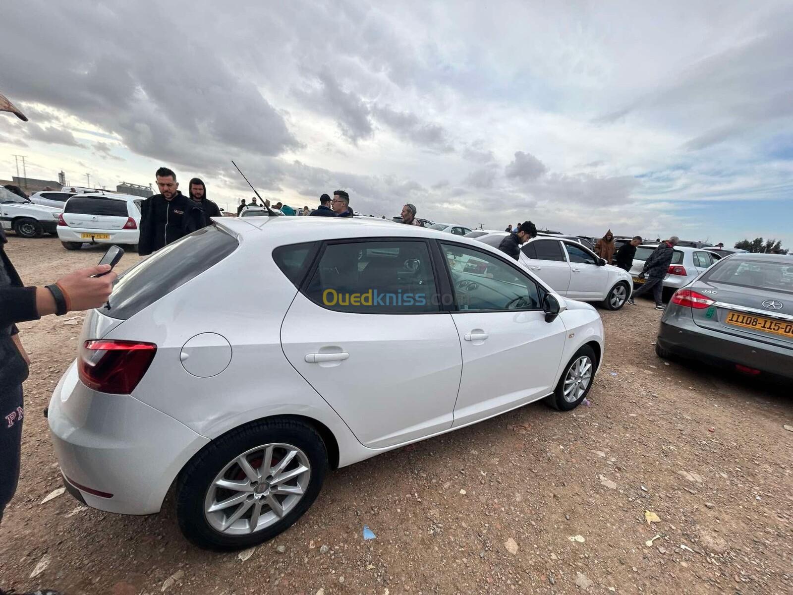 Seat Ibiza 2013 Fully