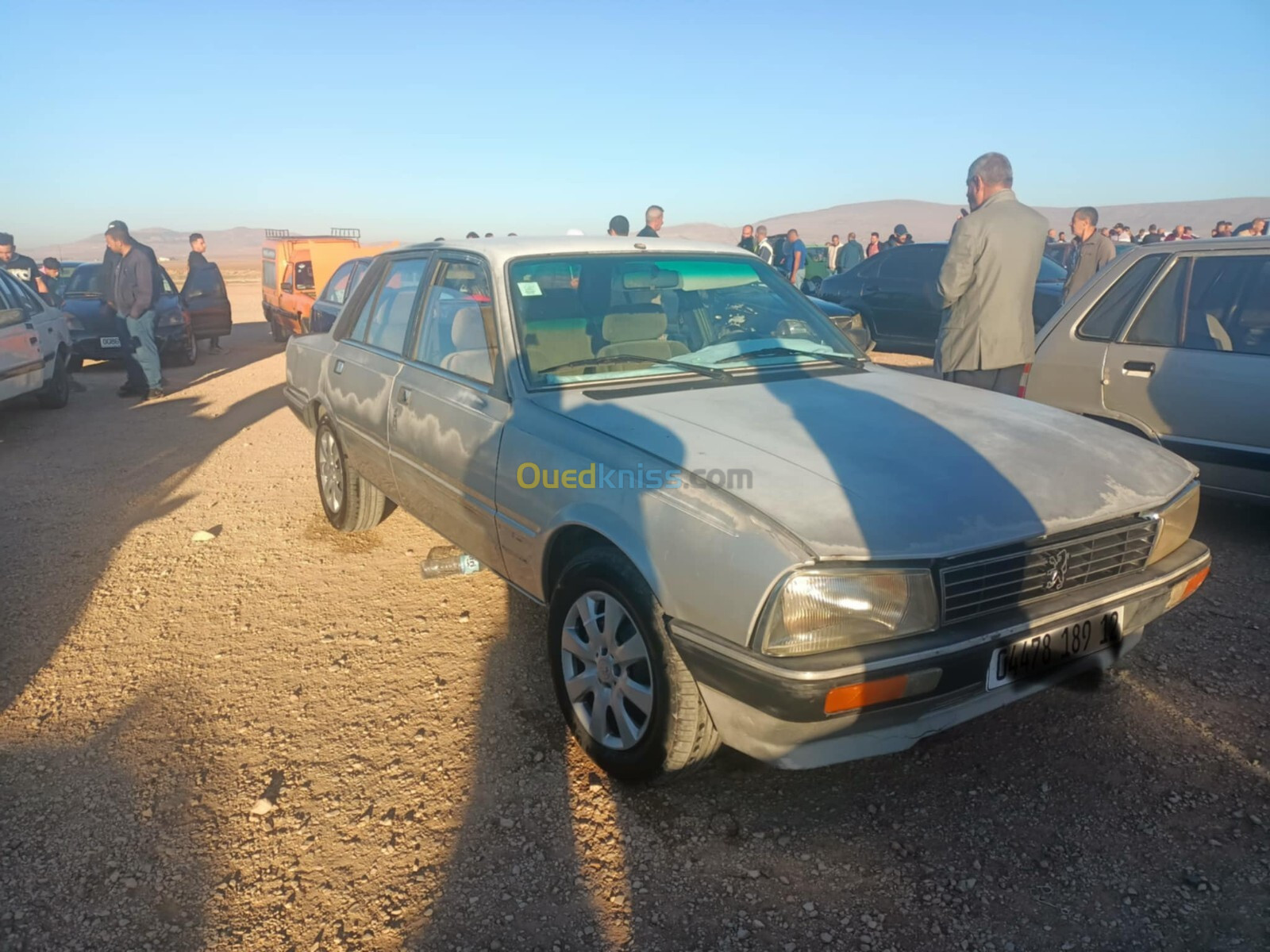 Peugeot 505 1989 