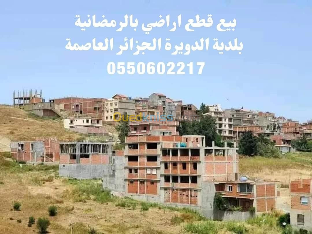 Vente Terrain Alger Douera