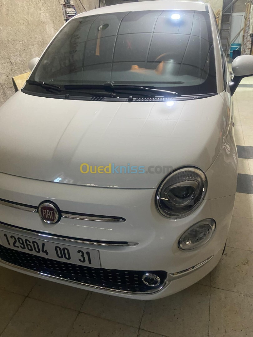 Fiat 500 2024 500