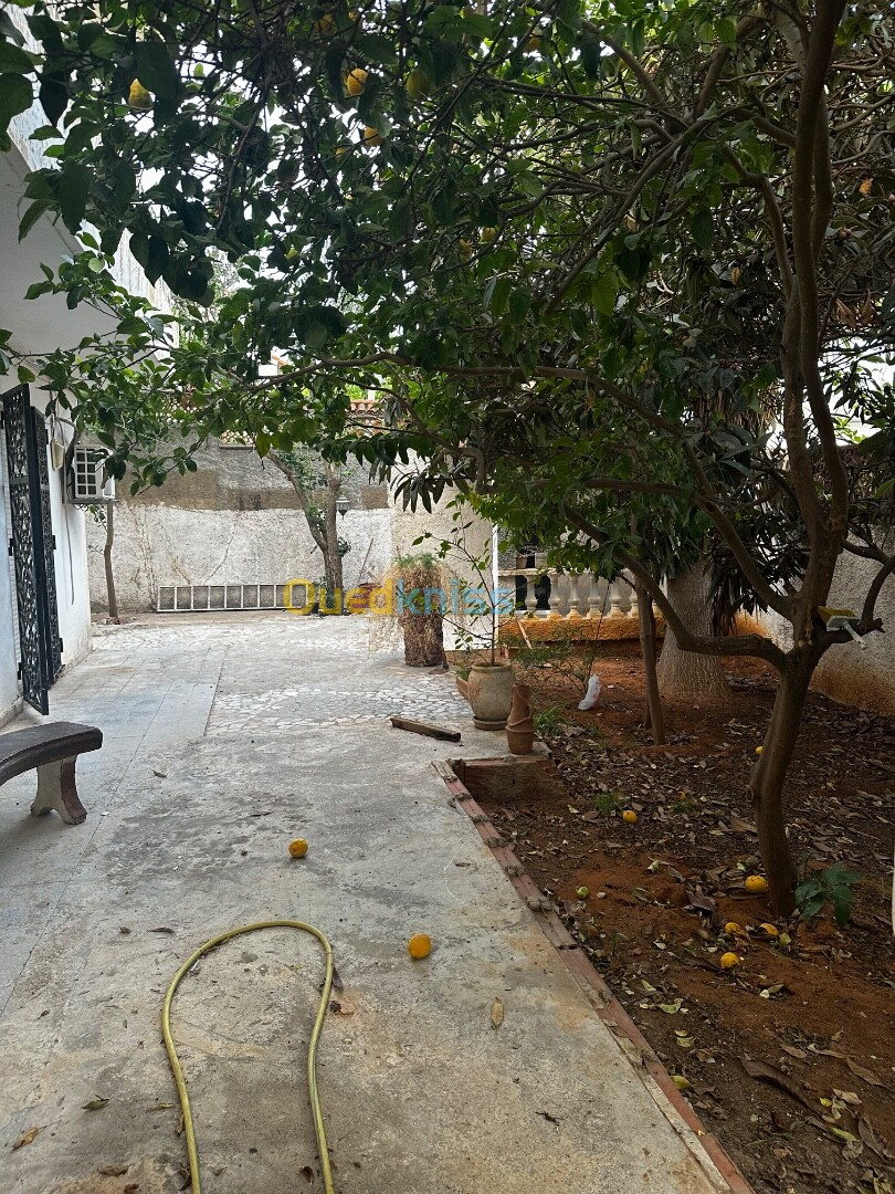 Location Niveau De Villa F3 Alger Cheraga