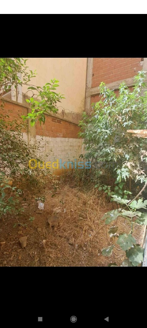 Location Niveau De Villa F2 Alger Ain naadja