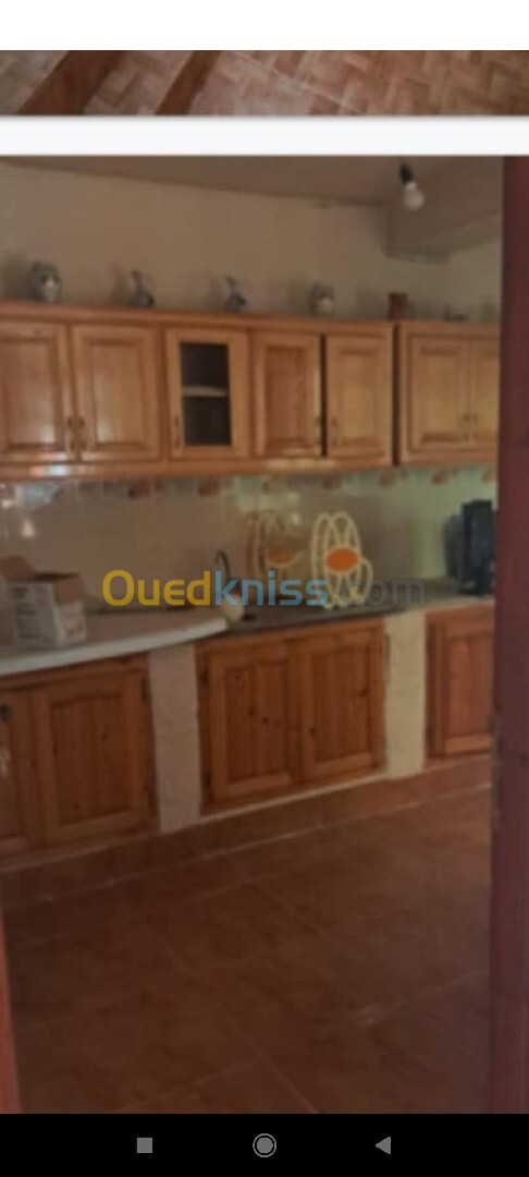 Location Niveau De Villa F2 Alger Ain naadja