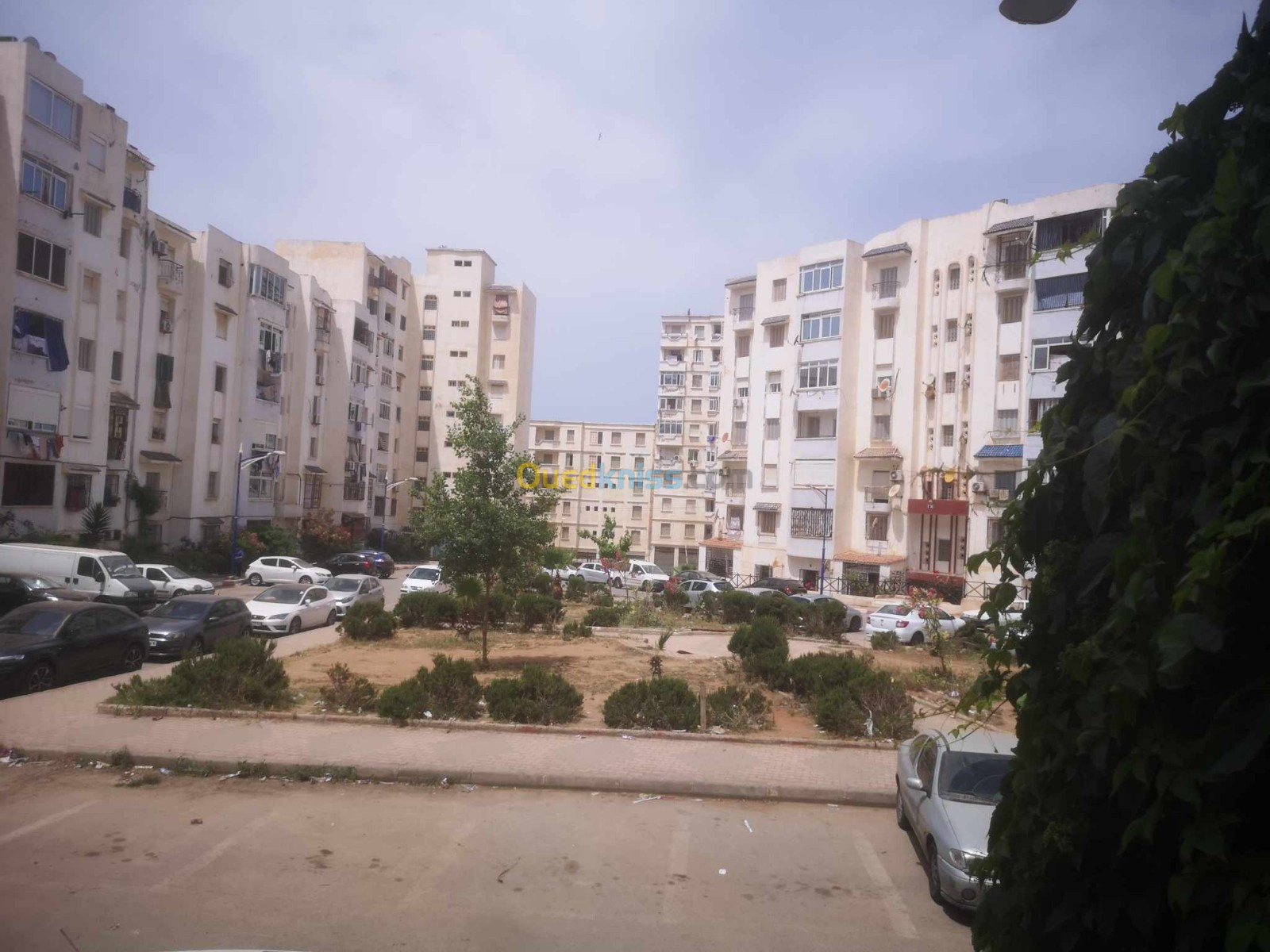 Vente Appartement F3 Alger Ain benian