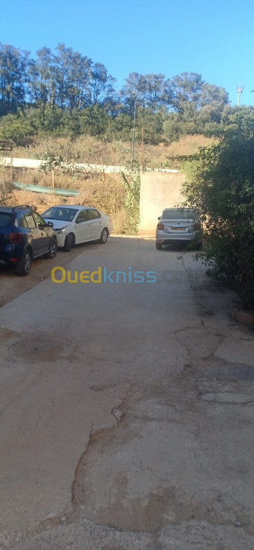 Location Niveau De Villa F4 Alger Birkhadem