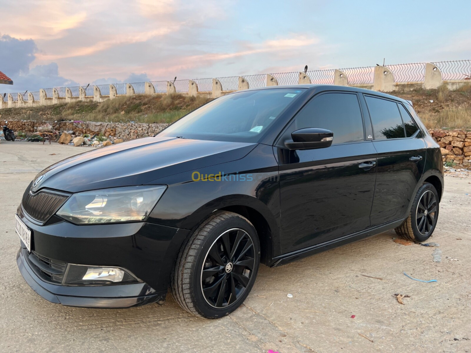 Skoda Fabia 2018 Monte Carlo