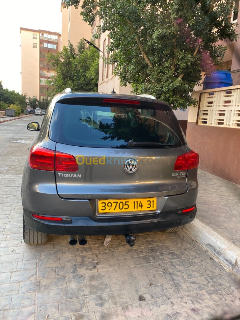 Volkswagen Tiguan 2014 Cup