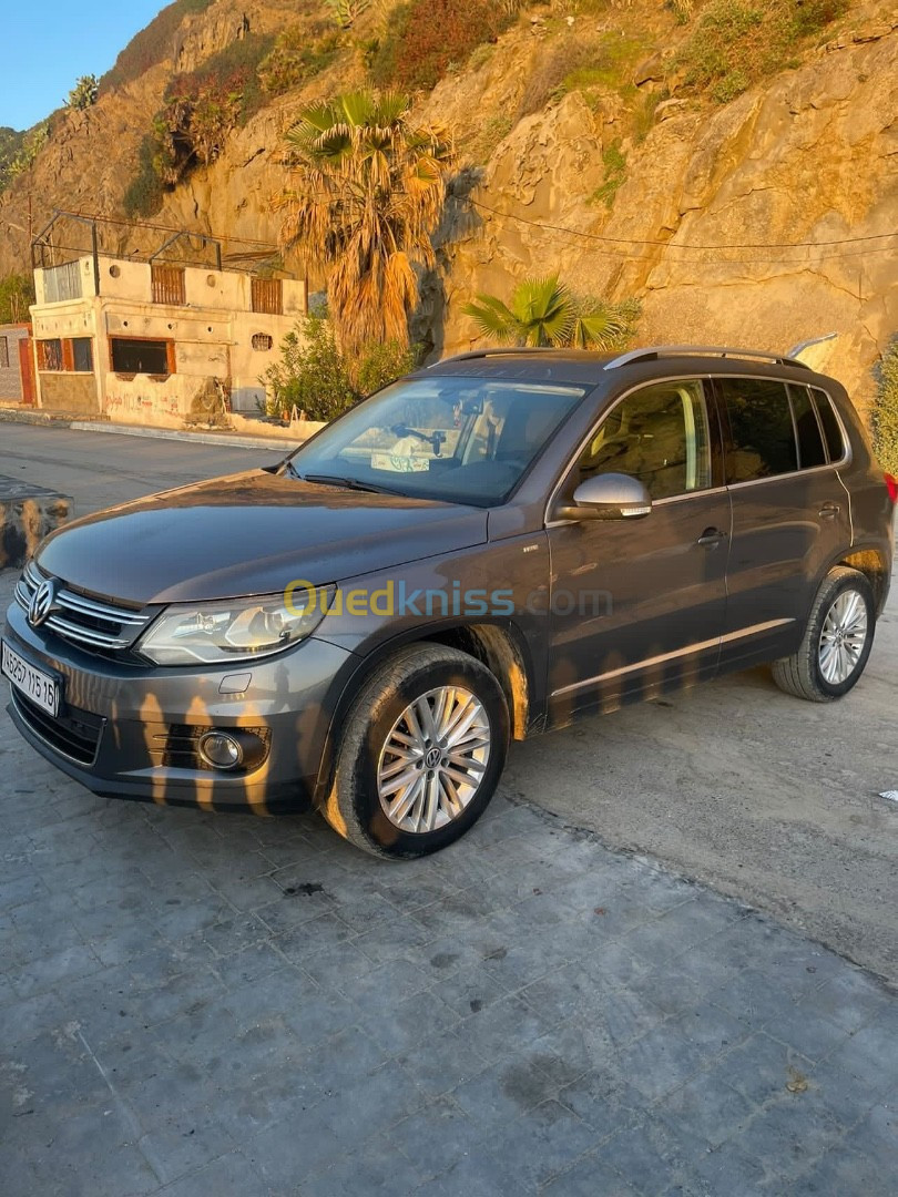 Volkswagen Tiguan 2015 Cup