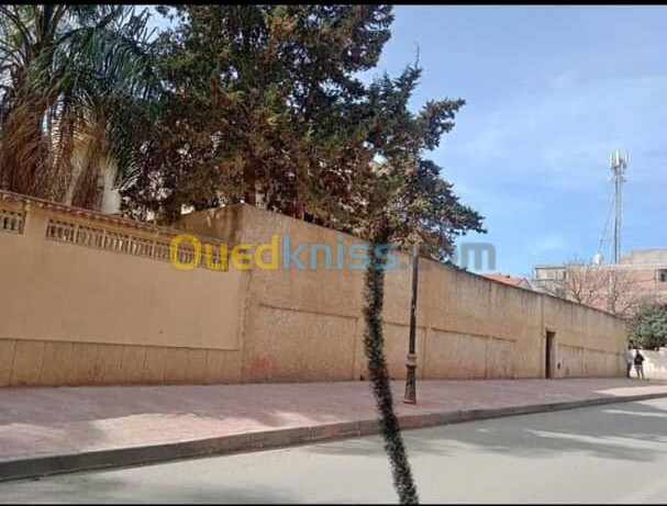 Vente Villa Alger Ain taya