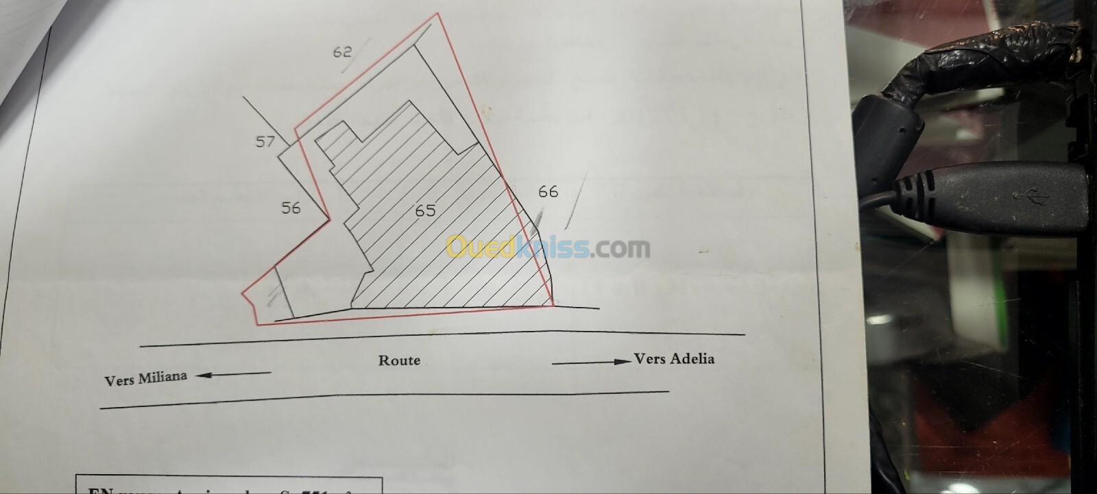 Vente Terrain Aïn Defla Miliana