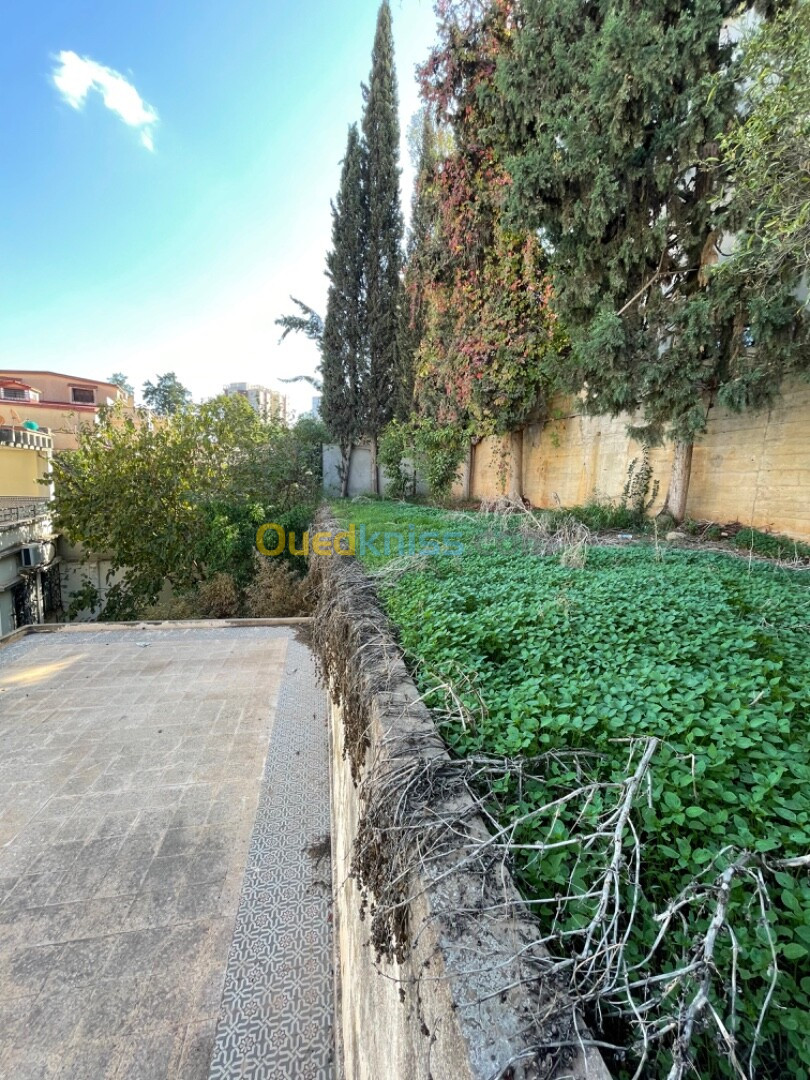 Location Villa Alger El biar