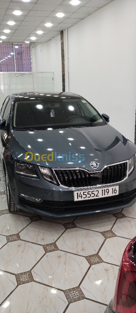 Skoda Octavia 2019 Clever