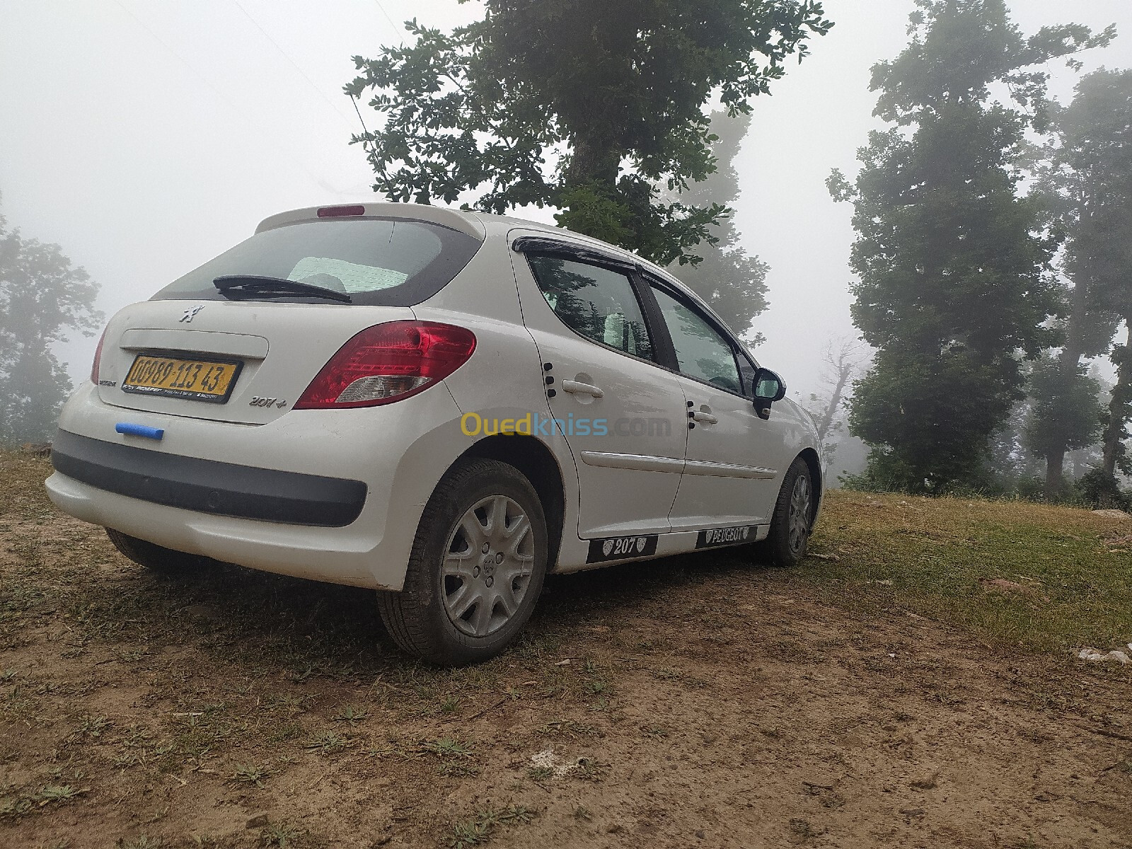 Peugeot 207 plus 2013 207 plus