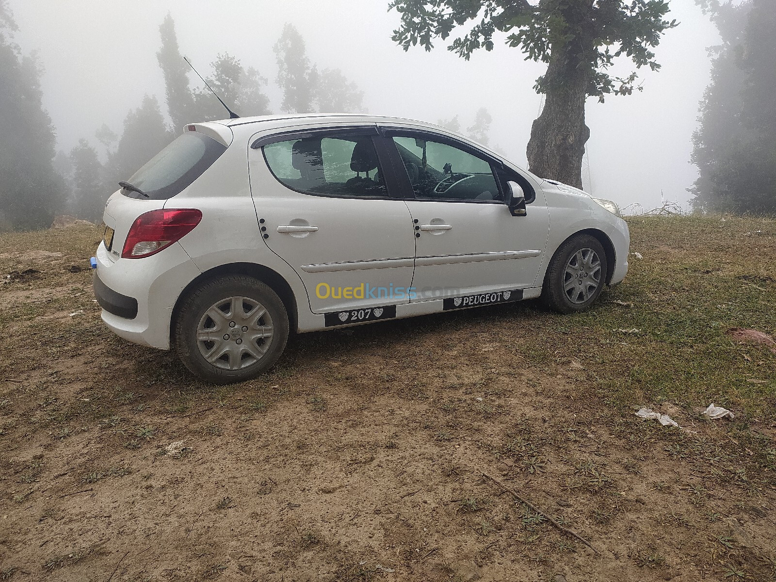 Peugeot 207 plus 2013 207 plus