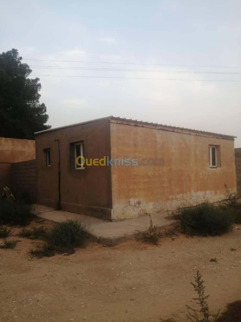 Vente Terrain Agricole Djelfa Zaafrane