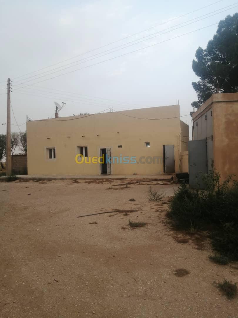 Vente Terrain Agricole Djelfa Zaafrane