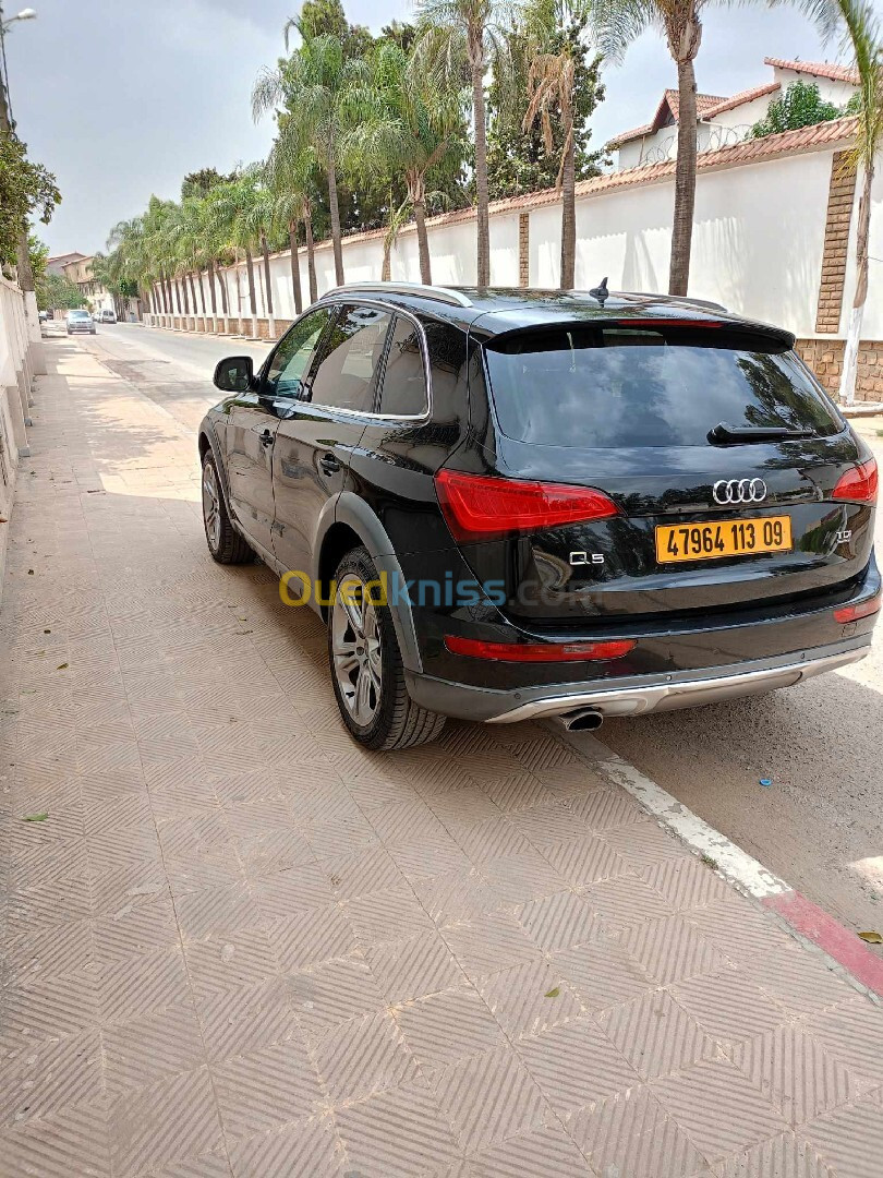 Audi Q5 2013 Offroad