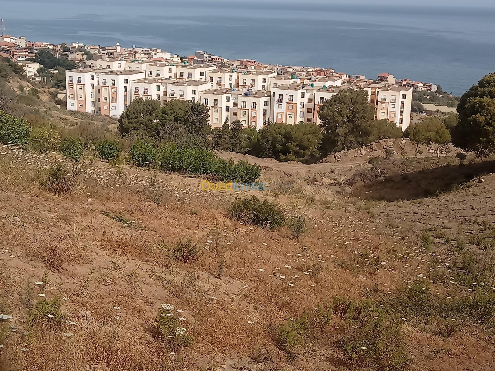 Vente Terrain Tipaza Larhat