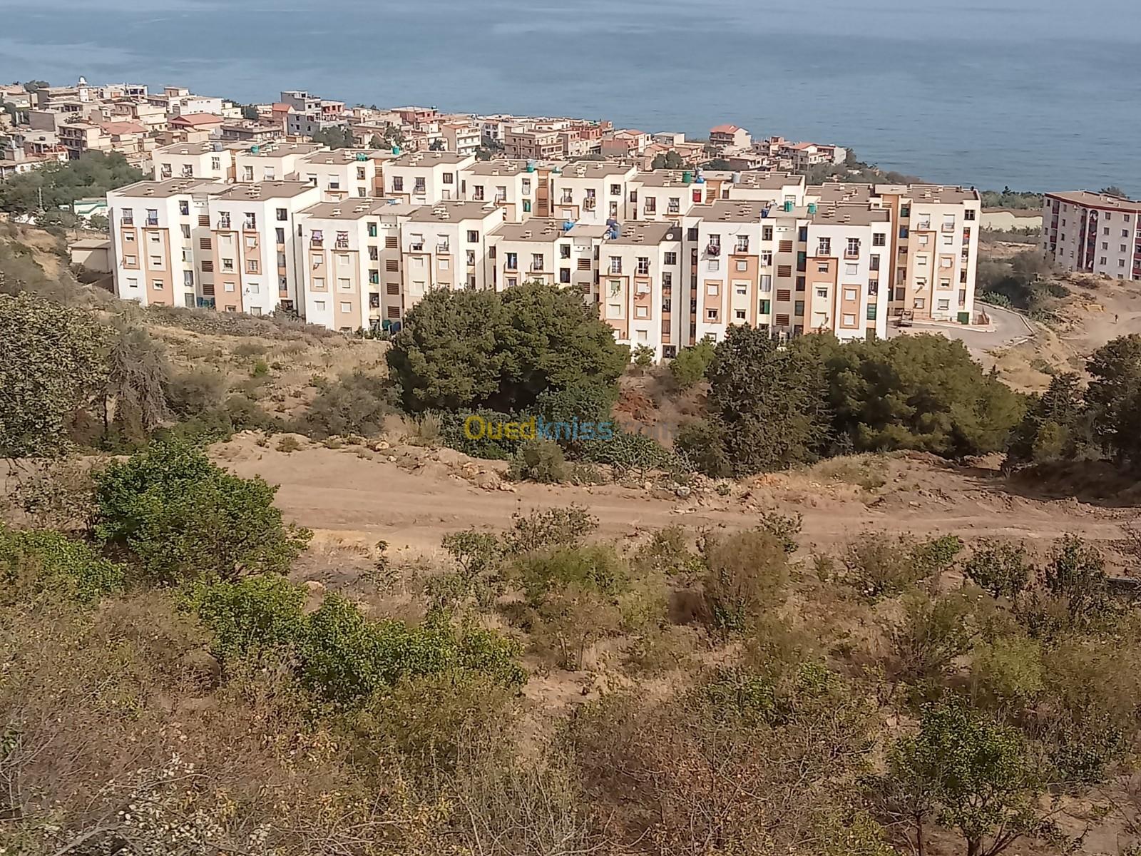 Vente Terrain Tipaza Larhat