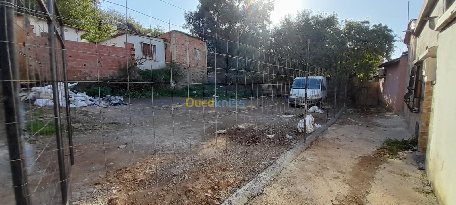 Vente Terrain Blida Blida