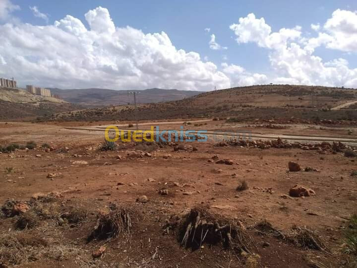 Vente Terrain Tlemcen Beni mester