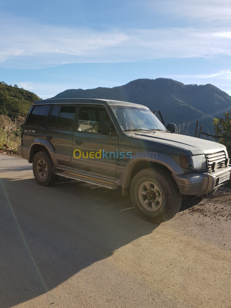 Mitsubishi Pajero Court 1995 Pajero V6 3000