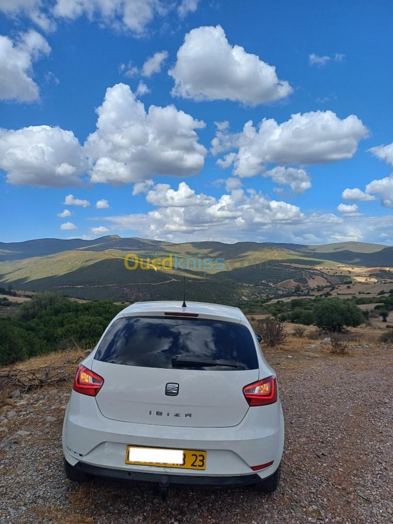 Seat Ibiza 2013 Fully