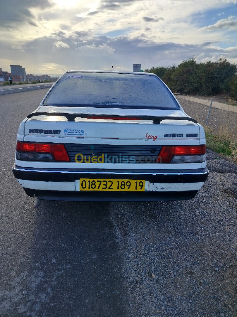 Peugeot 405 1989 405