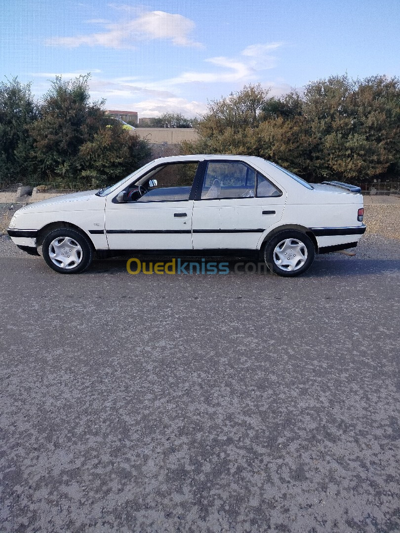 Peugeot 405 1989 405