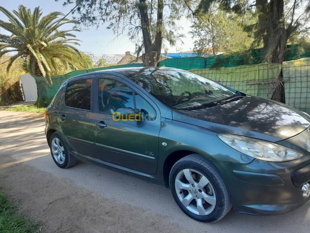 Peugeot 307 2008 Oxygo