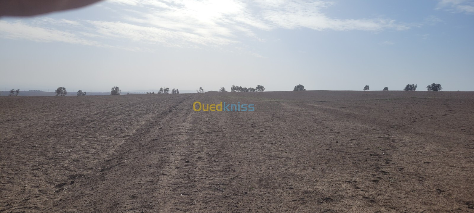 Vente Terrain Agricole Oran Boutlelis