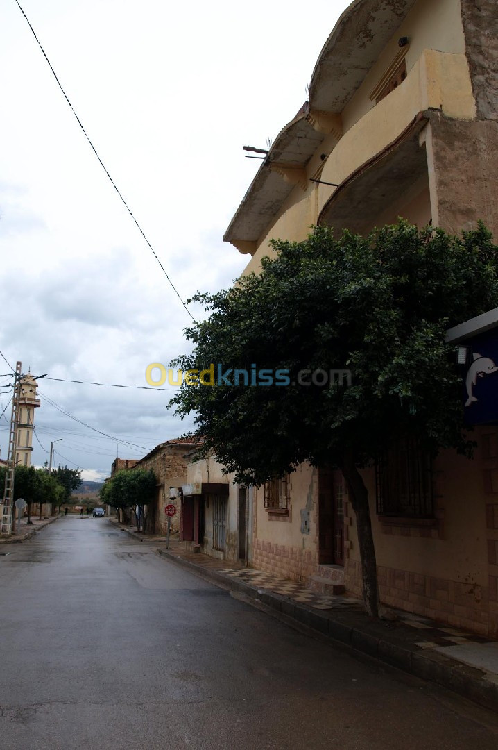 Vente Villa Relizane Ammi moussa