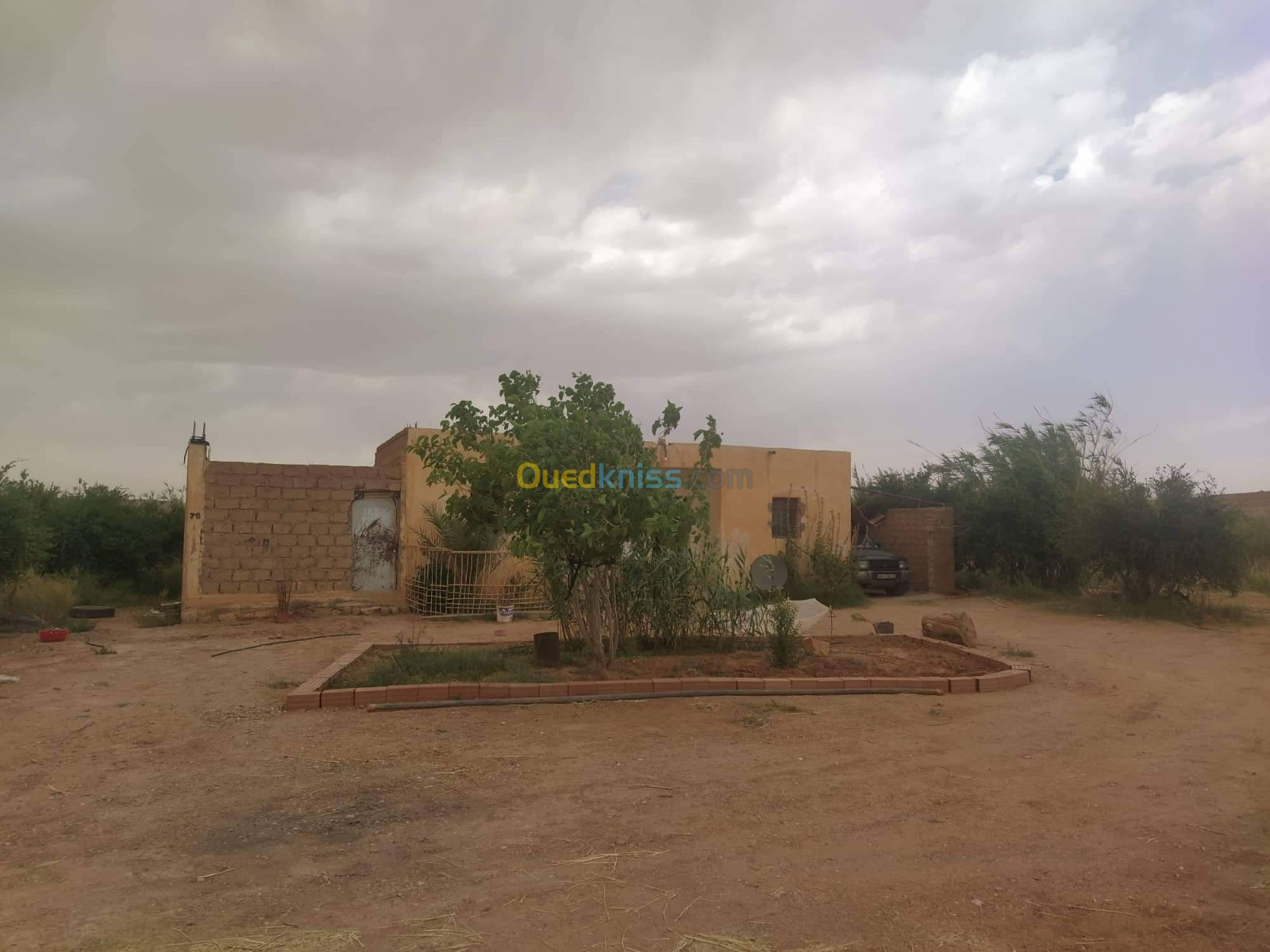 Vente Terrain Agricole Djelfa Ain el ibel