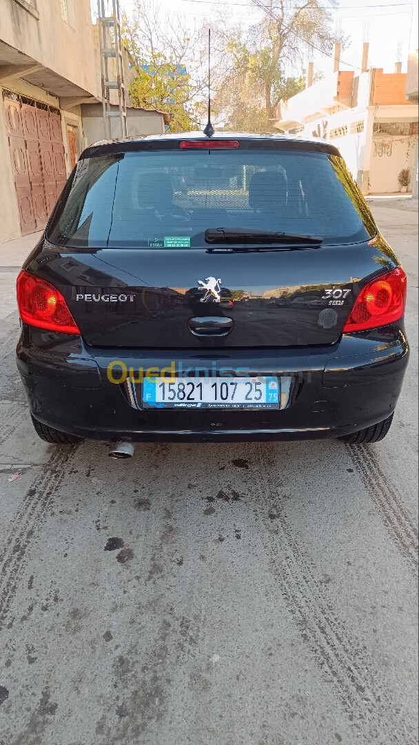 Peugeot 307 2007 Oxygo