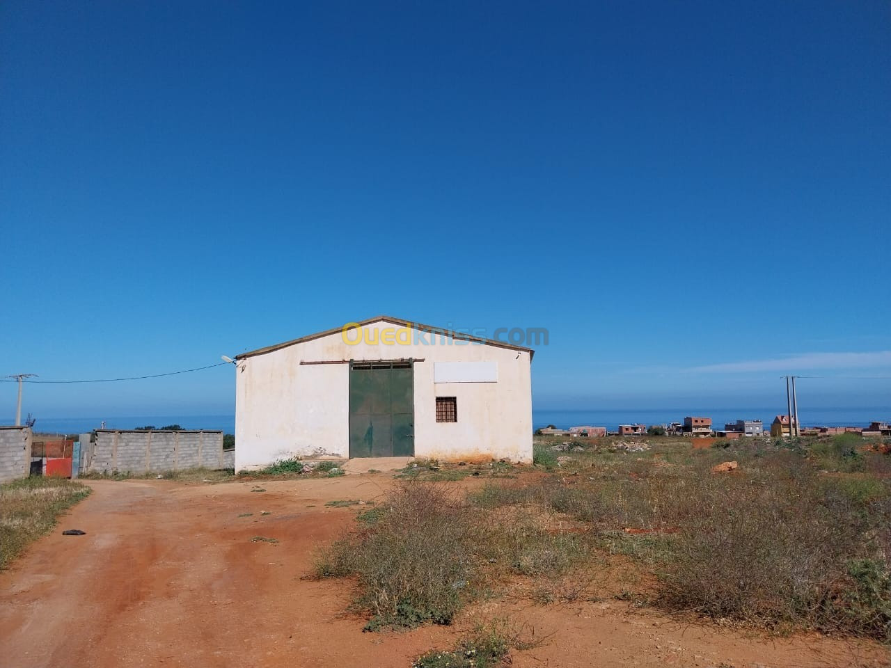 Location Hangar Tipaza Khemisti