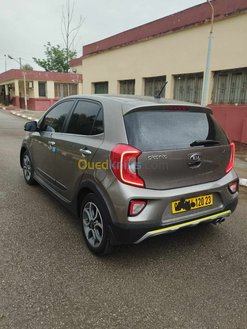 Kia Picanto 2020 Xline