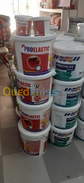 الطلاء المضاد للماء الاكتر مبيعا في العالم Proelastic Peinture étanche Promotion