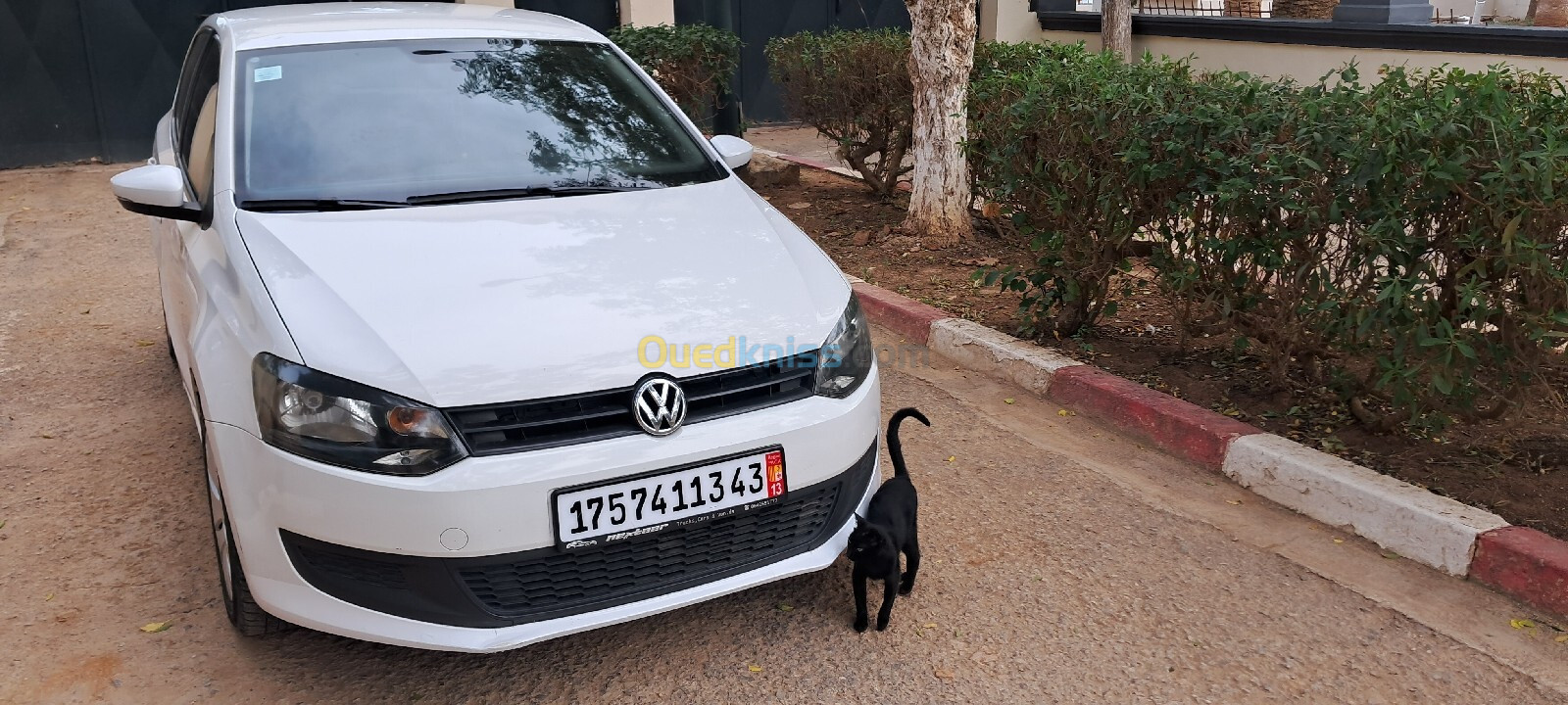 Volkswagen Polo 2013 TrendLine