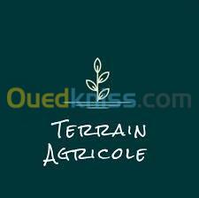 Vente Terrain Annaba Annaba