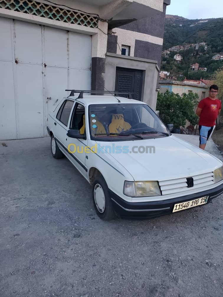 Peugeot 309 1990 309