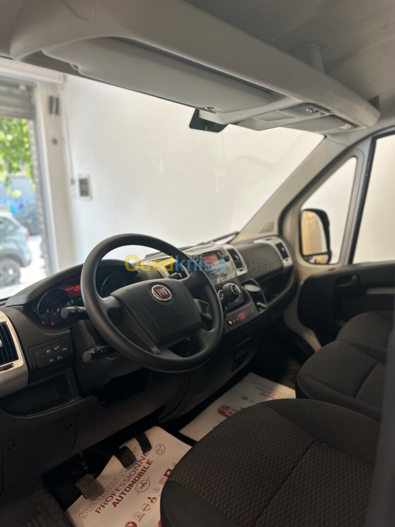 Fiat Ducato 2024 Professionnel